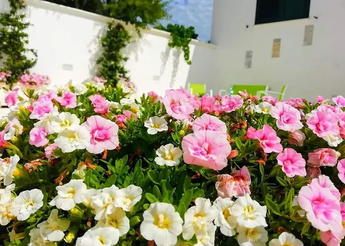 B&B Sole Mare Vento